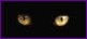 Cats eyes